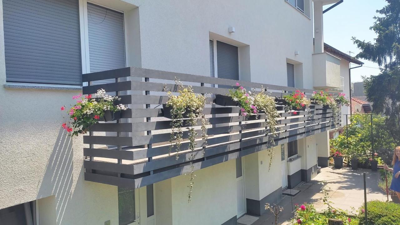 Aurora Apartment